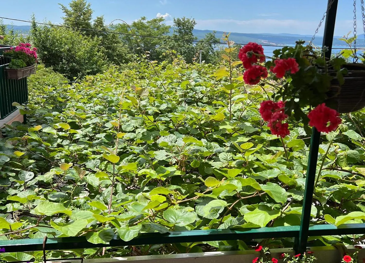 Apartman Ahmicic Crikvenica